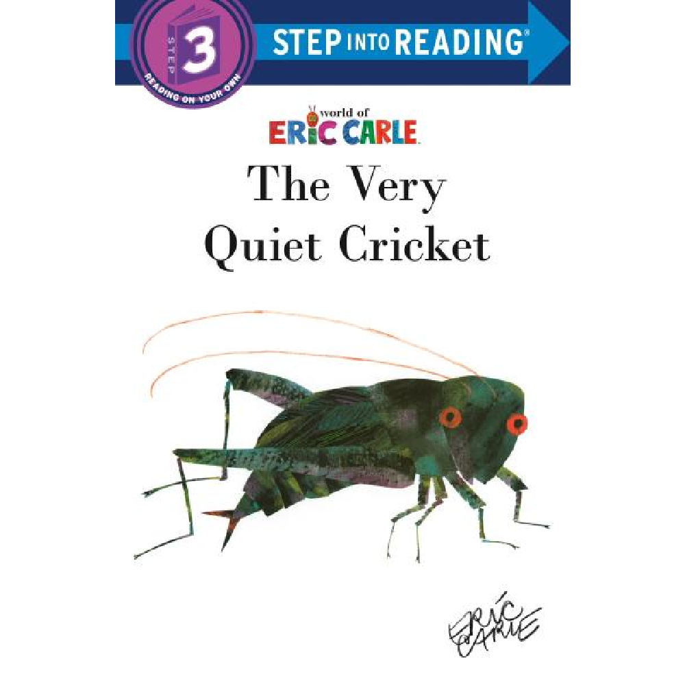 Step into Reading Level #3 - Battleford Boutique