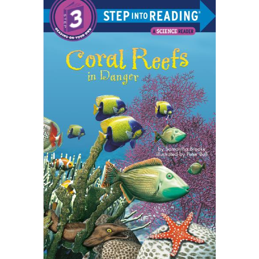 Step into Reading Level #3 - Battleford Boutique