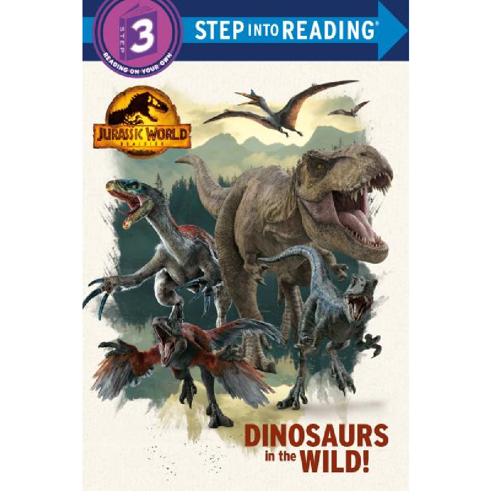 Step into Reading Level #3 - Battleford Boutique