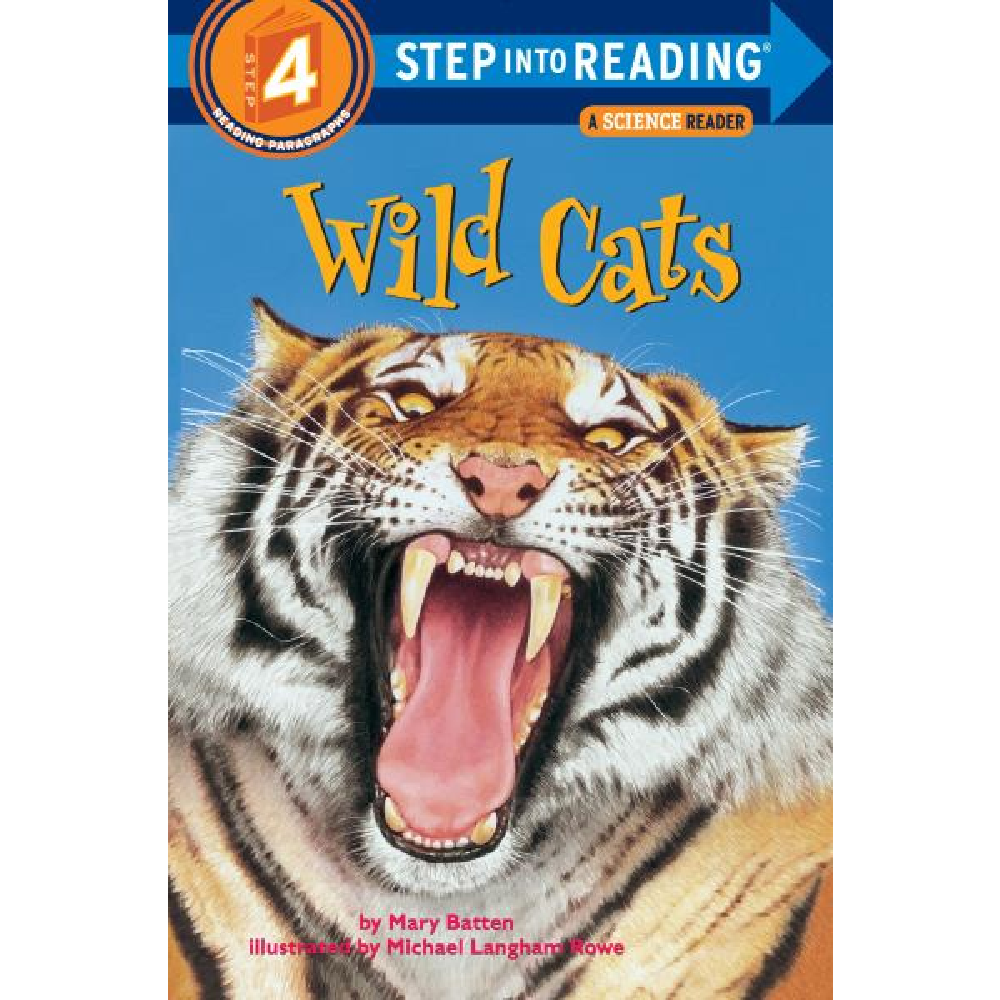 Step into Reading Level #4 - Battleford Boutique