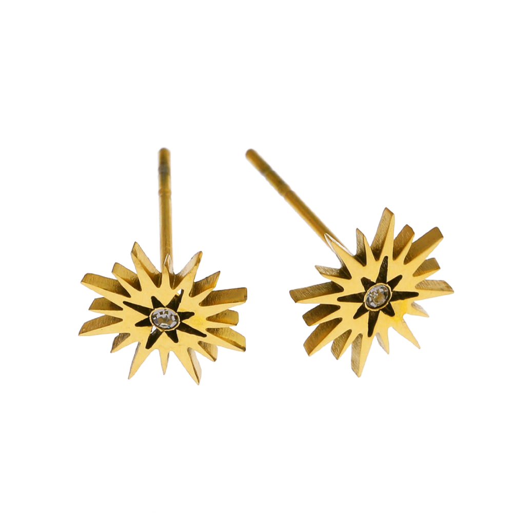 Amnisty Gold Studs