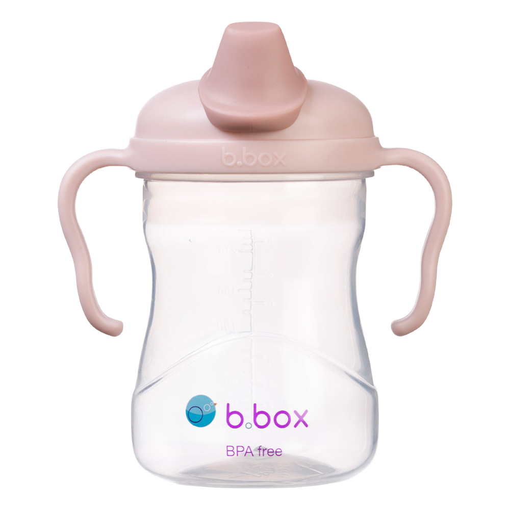 B. Box Spout Cup