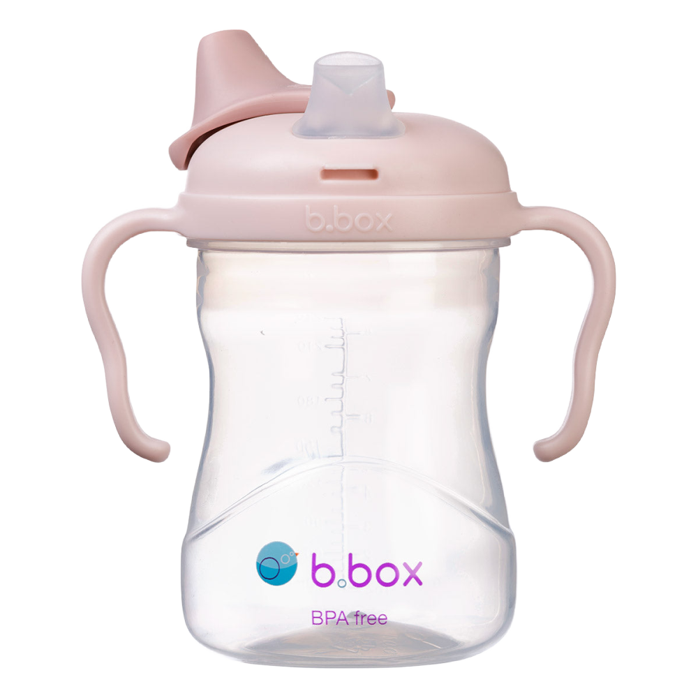B. Box Spout Cup
