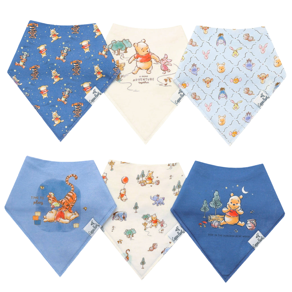 Copper Pearl Bibs - Winnie & Pooh 6 Pk