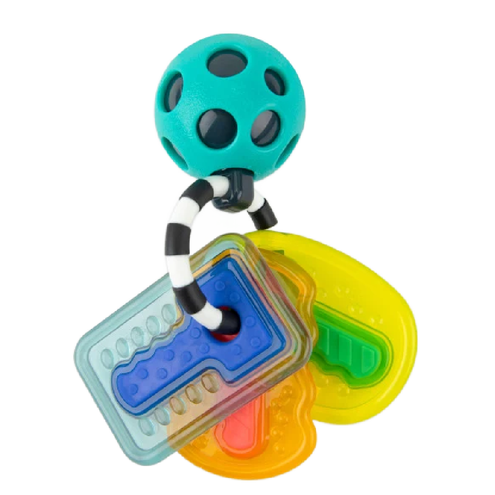 Sassy Baby - Drive N' Drool Keys