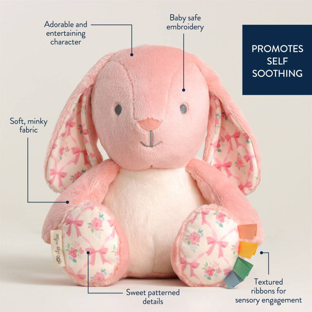 Itzy Ritzy Sweetie Snuggles Pink Bunny