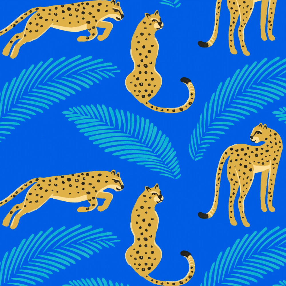 Honeysuckle Swimsuit - One Cool Cat