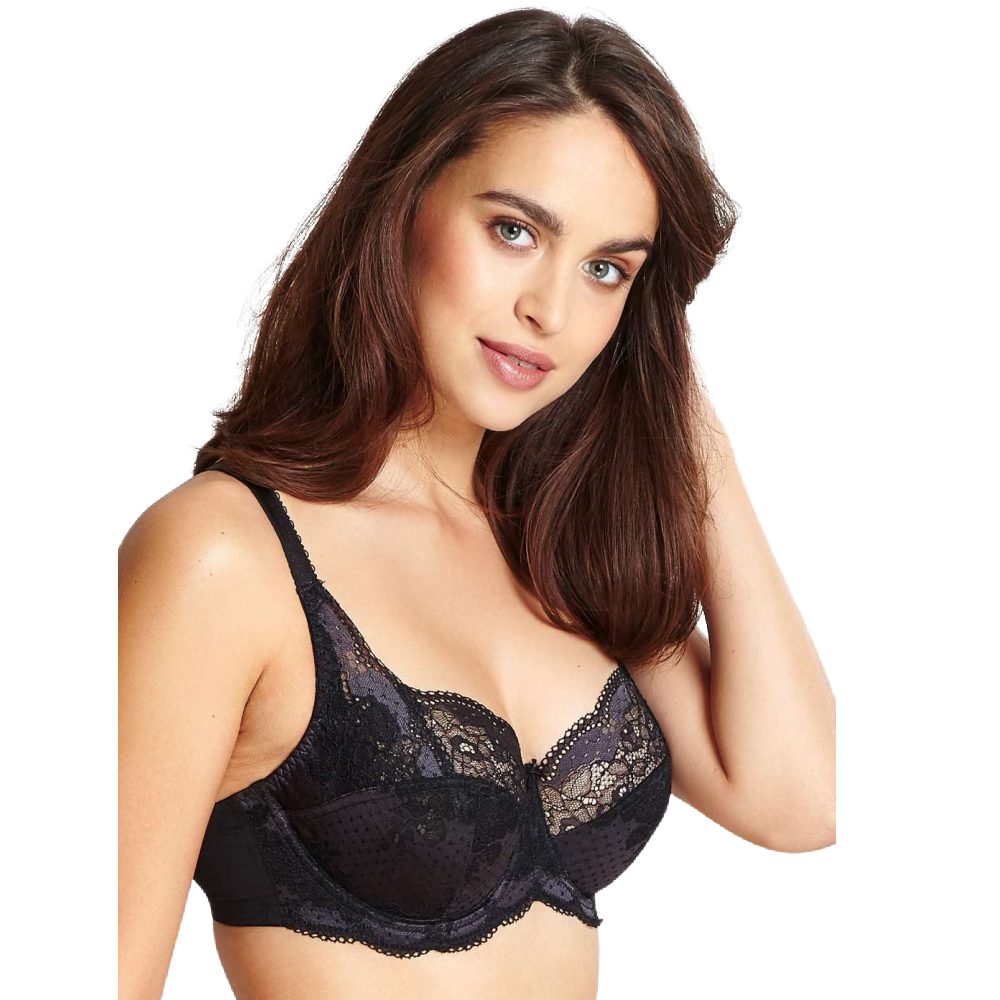 Panache Clara
