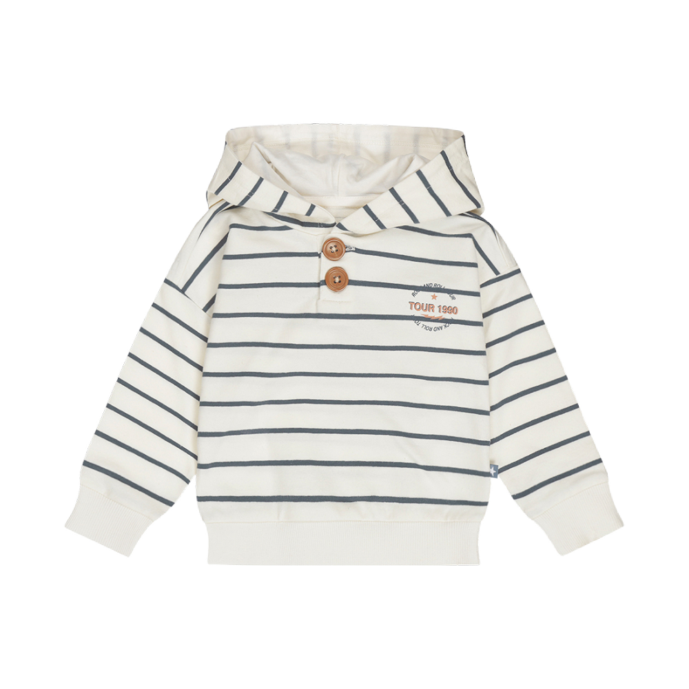 Dirkje Striped Hoodie