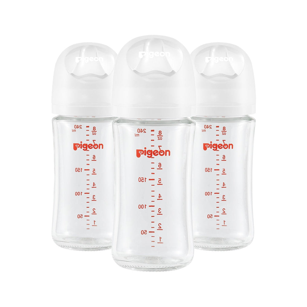 Pigeon Glass Bottle- 3pk 8oz