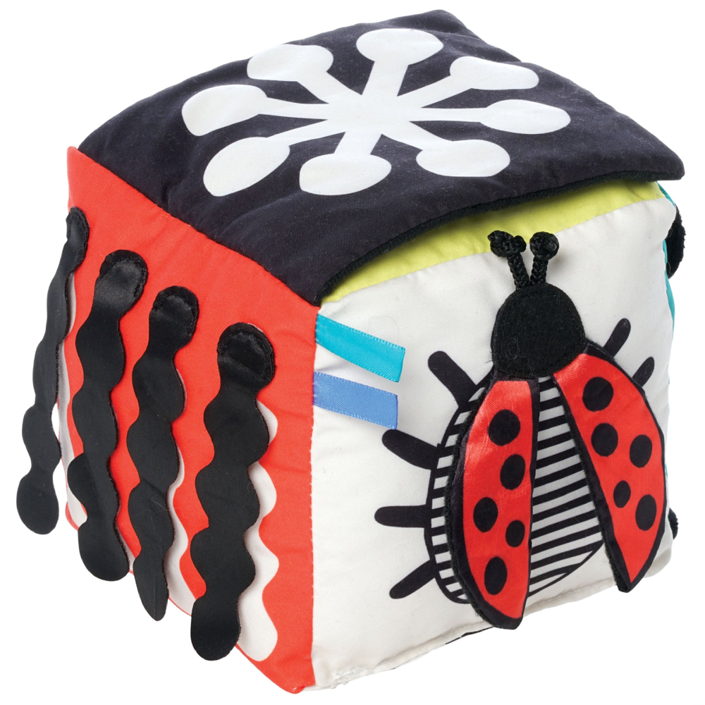 Wimmer Discovery Cube