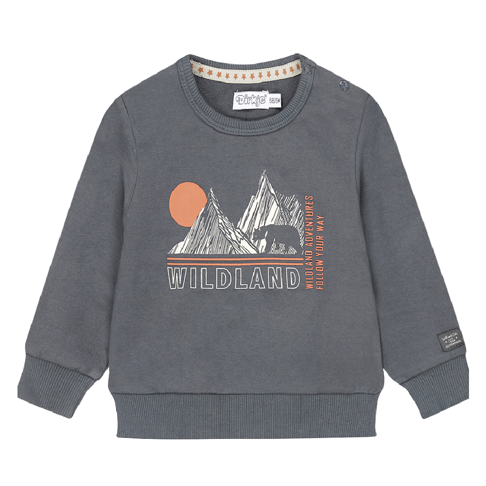 Dirkje Sweatshirt - Wildland