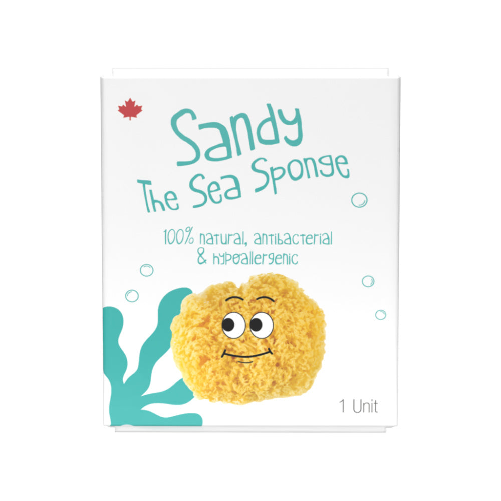 Loot sandy the sea sponge - battleford boutique