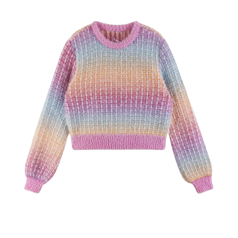 Silver Multi Color Sweater