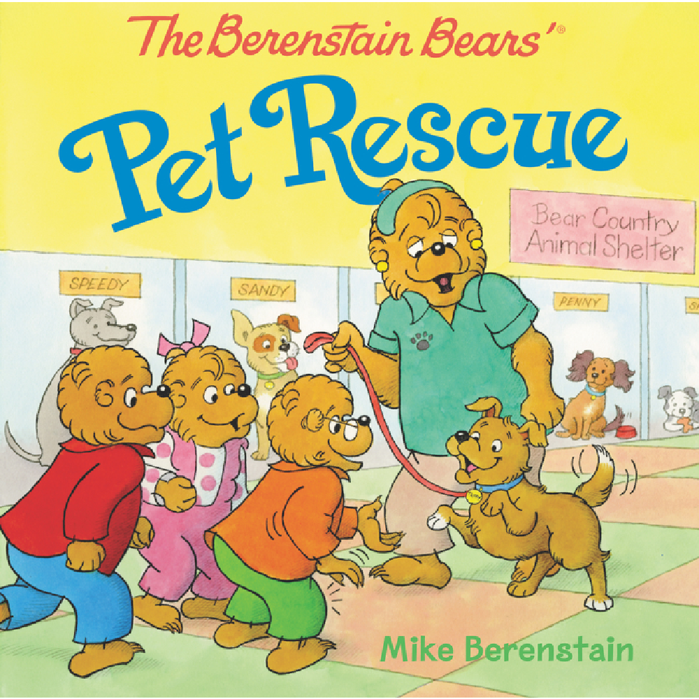 Berenstain Bears Modern Stories