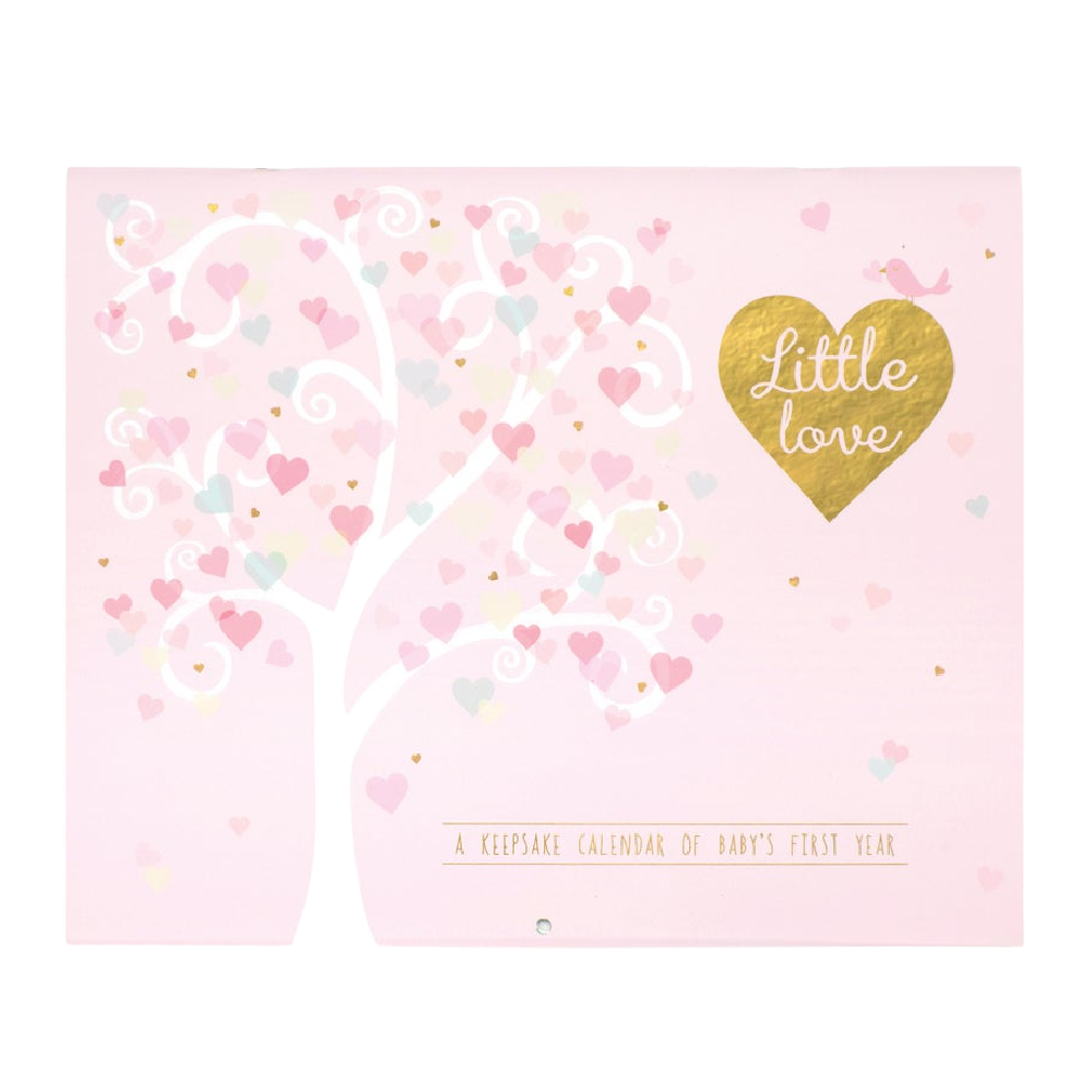 Baby's First Year Calendar - Little Love - Battleford Boutique